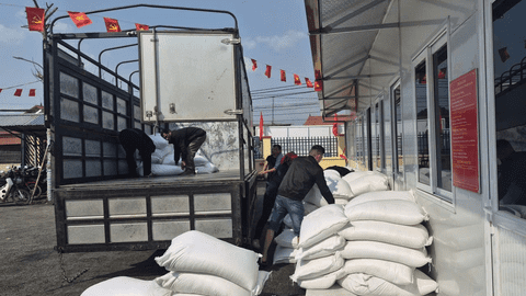 Sở Y tế tổ chức tiếp nhận và cấp phát 342,270 tấn gạo hỗ trợ Nhân dân thời điểm giáp hạt đầu năm 2026