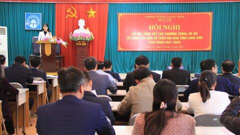 Sơ kết, tổng kết các Chương trình, Đề án về công tác dân số